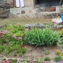 우경농원 이미지