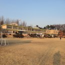 장평초등학교 병설유치원 이미지