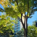 선유서로13길 이미지