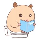 진주성로 이미지