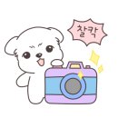 까페무