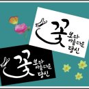 꽃보다아름다운당신 이미지