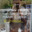TAANGO 탕고