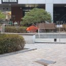 꿀벌상가 | 광교 도자기 공방 원데이클래스 르미엘도자기 후기