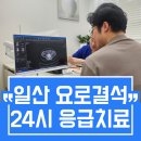연세다편한마취통증의학과의원 | 일산 요로결석 치료 24시 응급진료 일산연세비뇨의학과 내원 즉시 빠르게 통증을 해결해 드립니다.