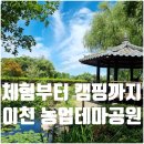 이천농업테마공원 너와집(쌀체험촌 펜션) | 이천 농업테마공원 체험 캠핑 주차 총정리