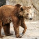 로얄수족관 이미지