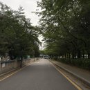 국수나무완주봉동점 | 2026 무한도전 Run with 쿠팡플레이 ‘경찰과 도둑’ 후기 | 무도런10km 코스 완주