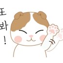 애플빈 네이버블로그