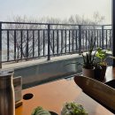 조가네갑오징어(왕송호수점) | [의왕] 입안 가득 퍼지는 쫄깃함! 조가네갑오징어 왕송호수점