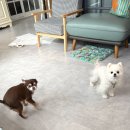 천동로 선우가