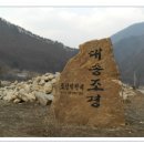 대송조경 이미지