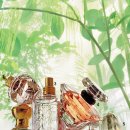 Memory of  이미지