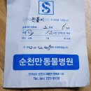 벌교동물병원 이미지