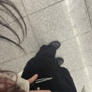 행기숲화장실 네이버블로그