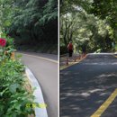 남산웰빙 이미지