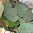 김동순농장 이미지