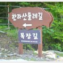 한라산둘레길 사려니숲길 Daum카페