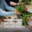 부산장애인자립센터 | 블루밍앤브러쉬 x 부산진장애인자립생활센터, 단체 수업 &#39;체인지&#39; 벌써 5회차! 코케다마 클래스🌿 출강 후기
