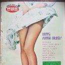 화창레스
