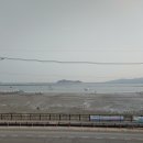 카페잠진도길28