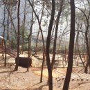 산정공원로 이미지