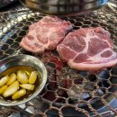 영농돼지후계자 이미지