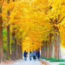 경상남도 수목원 이미지