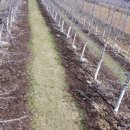 태송농원 이미지