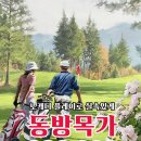 하이난 동방목가 노캐디로 실속있게 출발! 4박6일 29.9만원, 인천/부산 출발, 2인~ 이미지