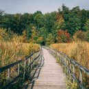 장수마을 이미지