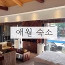 친구펜션A민박 | [제주도 애월 숙소] 사무이 제주 풀빌라 A타입 솔직 후기 — 동남아 감성에 가성비까지