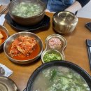 B&B 아그로 | #18. 응애 이른 휴가 다녀온 아기정현, 그리고 1000일