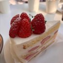 정원 퍼피 하우스 이미지