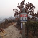 철마오거리 이미지