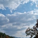 동원주 테니스장 이미지