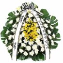 이병구 동기의 빙모(故 천도자 님)상을 알립니다 이미지