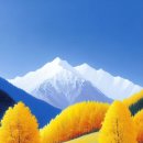 2025.11.23 일요일 출석부 이미지