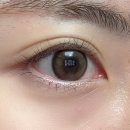 안경나라사창점 위드렌즈 이미지