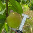 재민농장 이미지