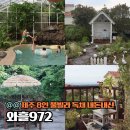 972 | 제주 풀빌라 독채 8인 감성 숙소 조천 와흘972 내돈내산 후기