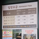 11260-3-64-12 | [과천 가볼만한곳] 서울대공원 테마가든 장미축제 전 실시간 만개 상황(2026.05.25) 명당 주차 팁부터...