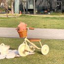 우드바이크 | [만 3살 아기 자전거] banwood 밴우드 트라이크 (세발자전거) 후기