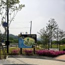화원민박 | 🌿 안성 금광호수 산책코스 추천