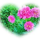 두리모텔 - 24670 | 두리모텔