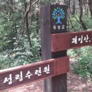 설옥1구 이미지