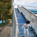 신남육교 - 인제군 | 신남육교