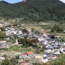 남해미미 이미지