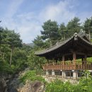 여행가는길 - 동구 구성로 180 | 산청 동의보감촌 가볼만한곳 : 무릉교 출렁다리부터 사슴생태체험장까지 (남해 여행 가는 길에 들른 후기)
