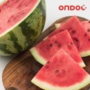 건양유통 이미지